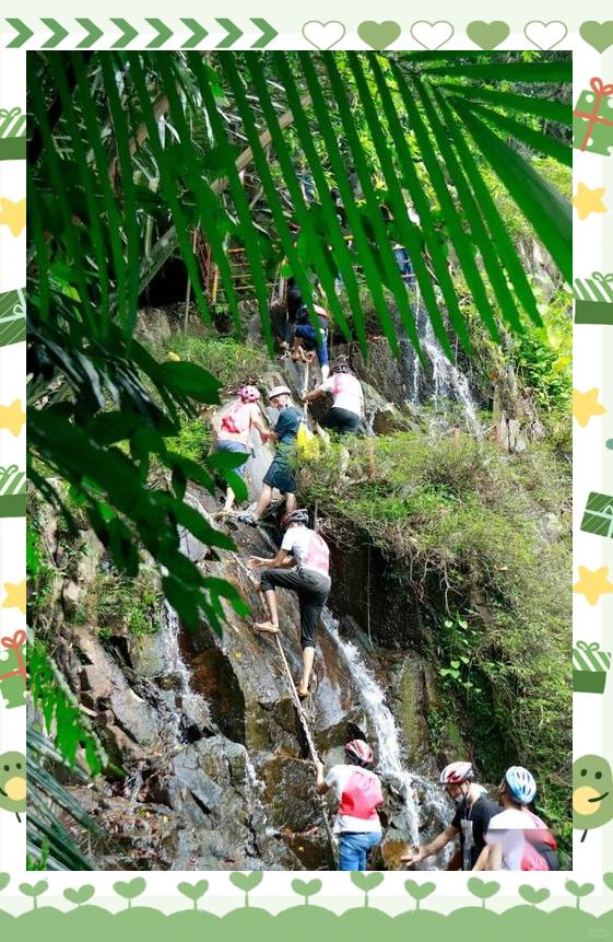 星空官网-生态徒步探险，绿意盎然的运动体验