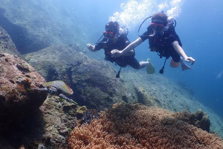包含特色乡村冲浪,体验不同的海上激情的词条 包含特色乡村冲浪,体验不同的海上激情的词条