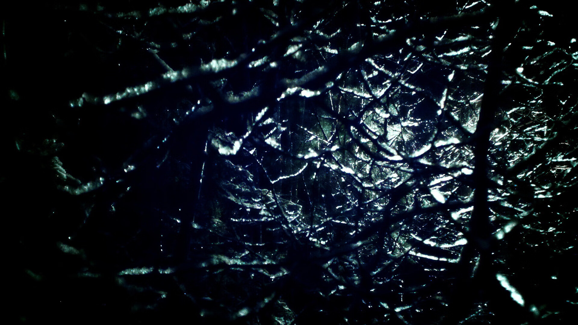 -《太阳球迷期待球队在休赛期进行积极操作》，太阳球迷叫什么