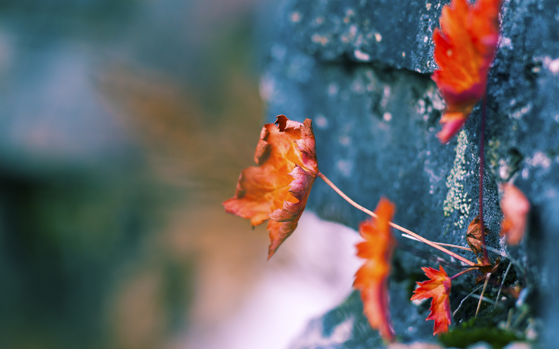 星空体育官网信誉好-乌迪内斯后卫出色抢断反击，帮助球队取胜，乌迪内斯出来的球星