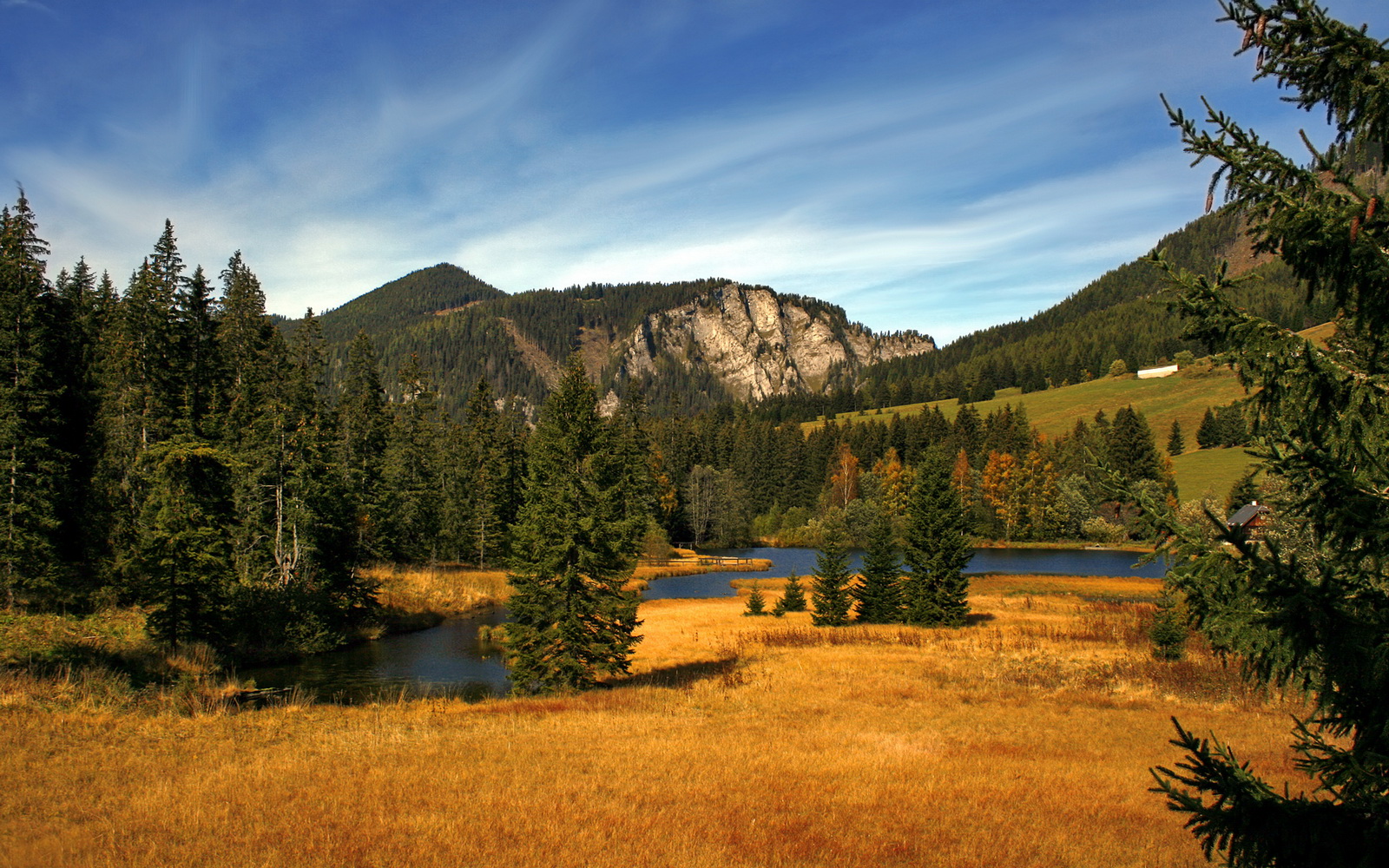 创造奇迹!欧国联比赛球员展现实力,欧国联足球