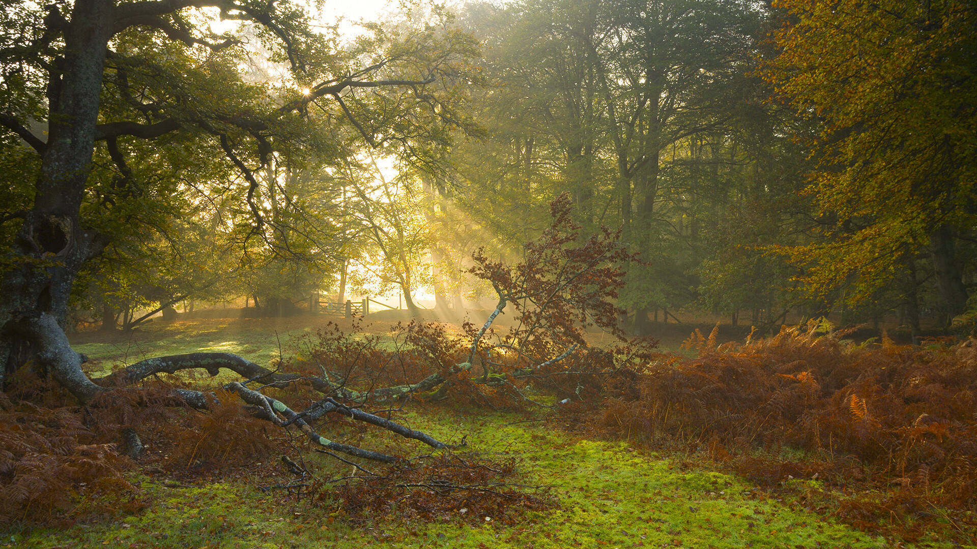 星空体育官网信誉好-国足冲击冠军，成功跻身国际赛决赛，国足冲击2022