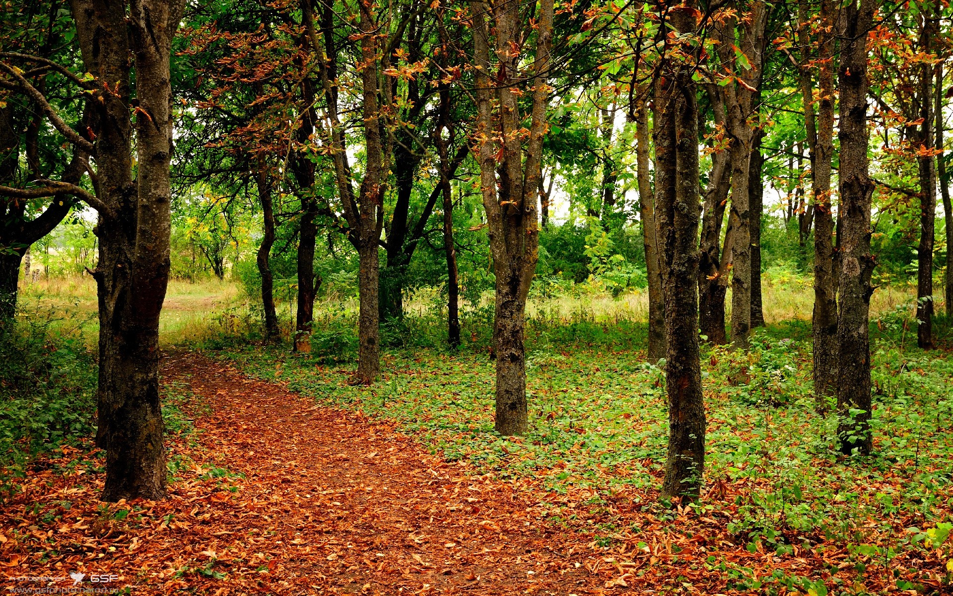 沙尔克不敌对手，球队重回训练场备战下场比赛，沙尔克球队怎么样