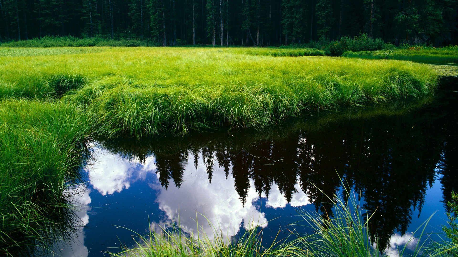 联盟是否应推动球员联盟内部民主机制，改变联盟规则的球员