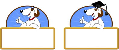 星空体育官方入口-校园体育节活动对学生参与度的促进作用，学校体育节活动描述