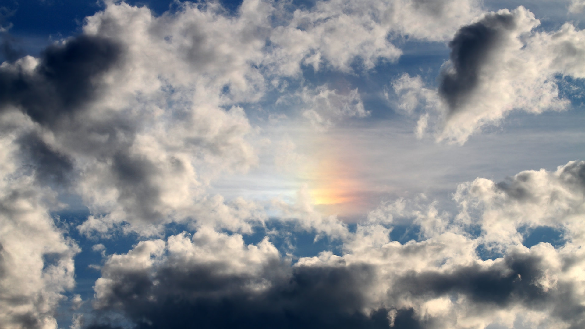 CBA球队建立球员数据档案追踪成长，cba 球员数据库