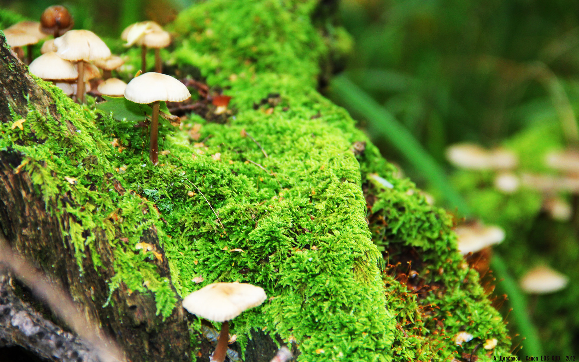 星空体育登录入口-威尔士橄榄球赛事商业化进入快车道，威尔士篮球