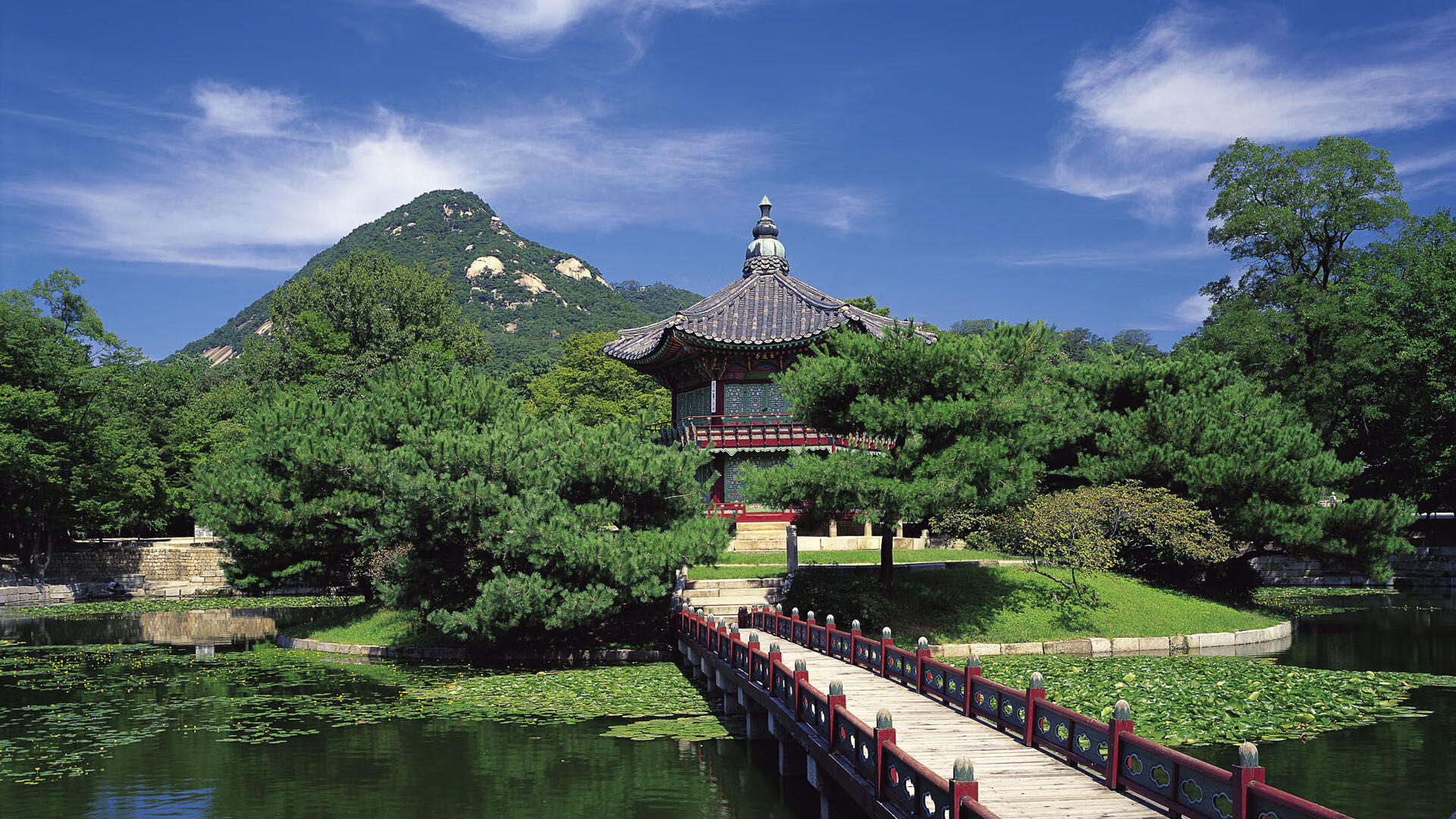 曹缘男子3米跳板赛场魅力尽显，曹缘十米跳台